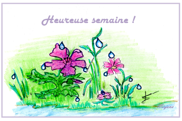 C_Heureuse semaine_22(1662)